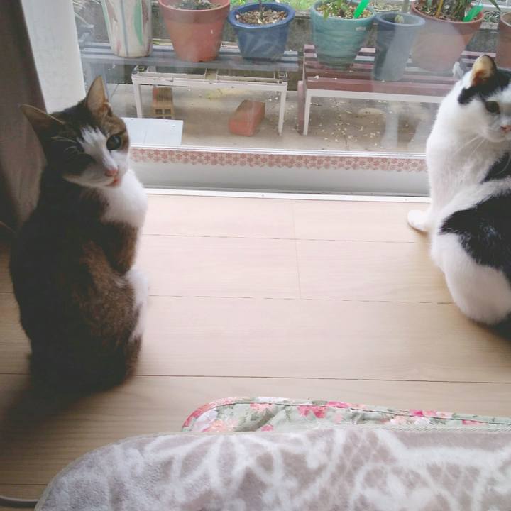 127d50c5 e748 4d06 825b 96d1559064a2 1553340397835