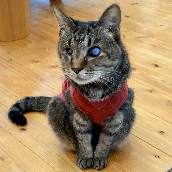 127d666a 9f2b 4309 8fd6 2024beb3835d 1681995286089