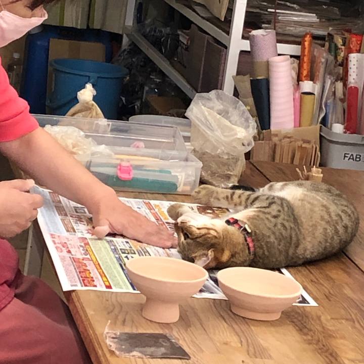 127d7959 5e27 4673 b010 2a31d9c6f46d 1627272013737