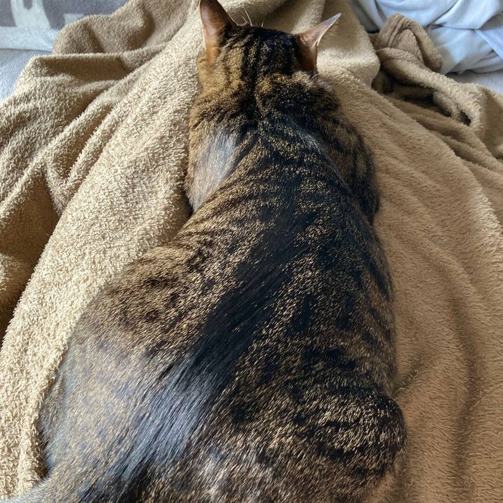 127dee96 6f41 461b 90ed c5f4e738b06b 1616221933381