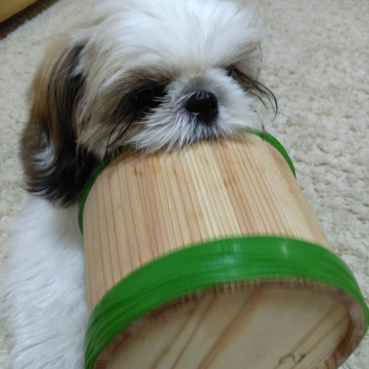 127e092d afd9 483e b6f3 c3fed563d7de 1541823023061