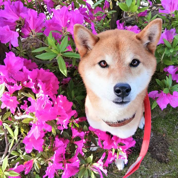 127e1d28 5a50 44be bd07 fdba879838c0 1620286042146