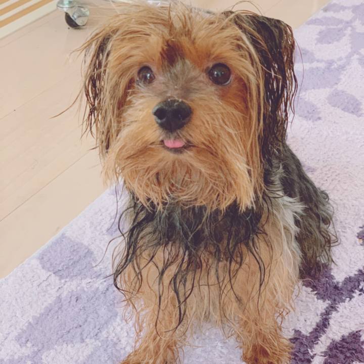 127e3266 b5db 44ab b1d1 1ff5303293be 1553753283358