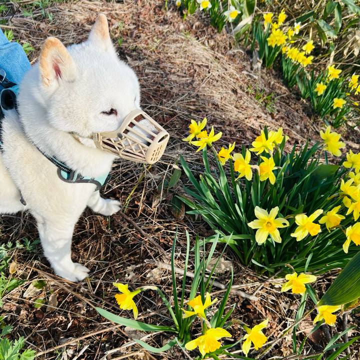 127e5553 662e 4fce b9ce 5220f604fd48 1746136287390