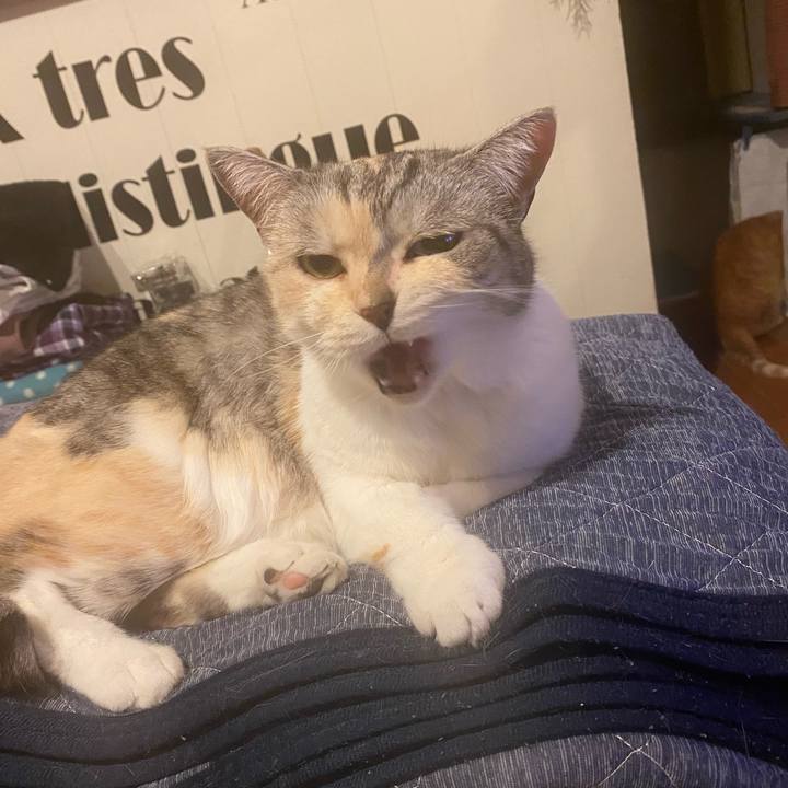 127e57eb 07ad 4242 be87 38358851a13f 1620060118661