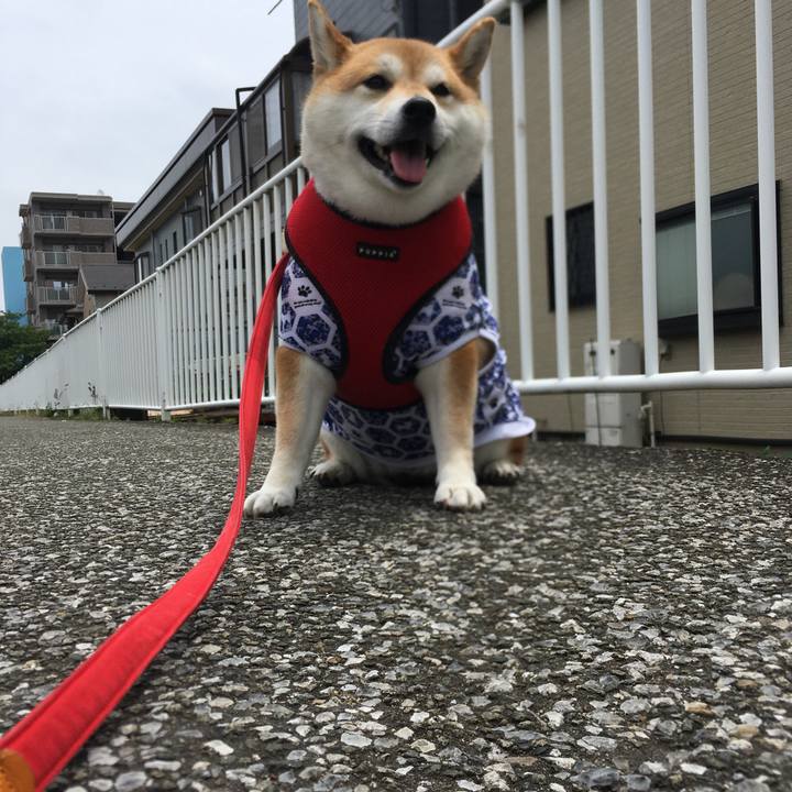 127e6801 fe3c 49b7 a013 6ce0b5cdd1a7 1590914750060