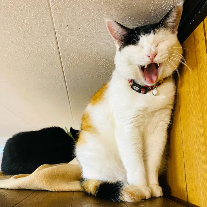 127e8756 d5be 4740 8886 ecb65f1f9def 1668257345881