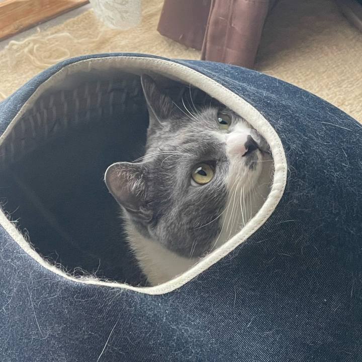 127e9582 d2cf 4ed6 bb6b b844bbfe03ec 1748582505595