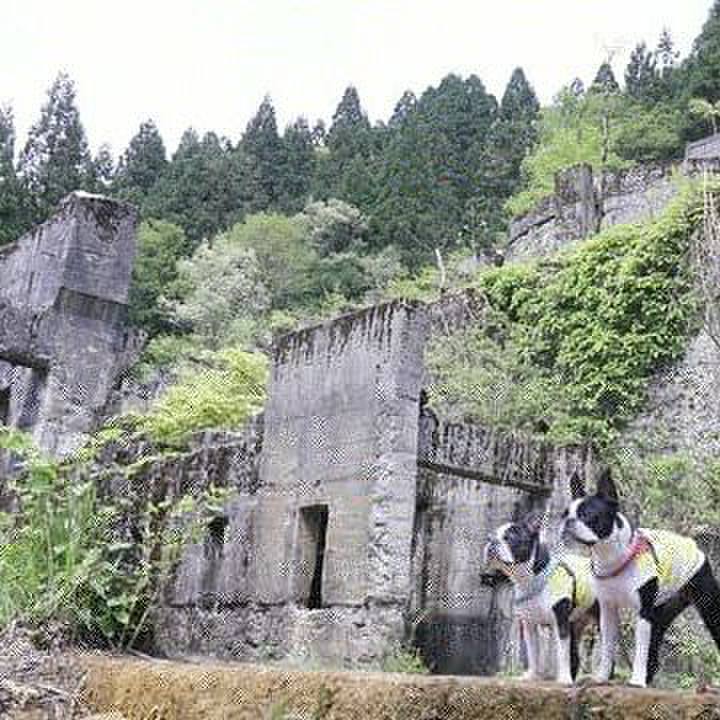 127e9912 c167 4267 aad4 c40c3923cc49 1557047812442