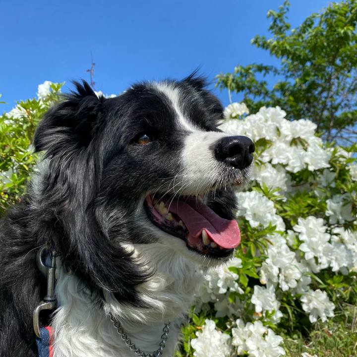 127e9e04 778a 4fcb 8cc4 4486d1441942 1682213903075