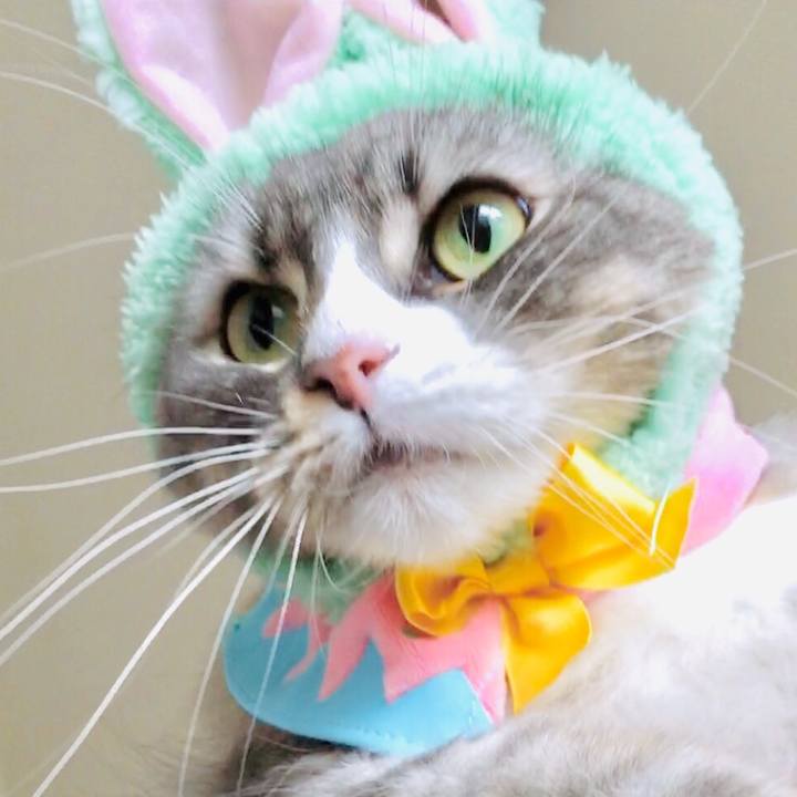 127ea602 841a 47ad 89c1 650cac758aa3 1568371687398