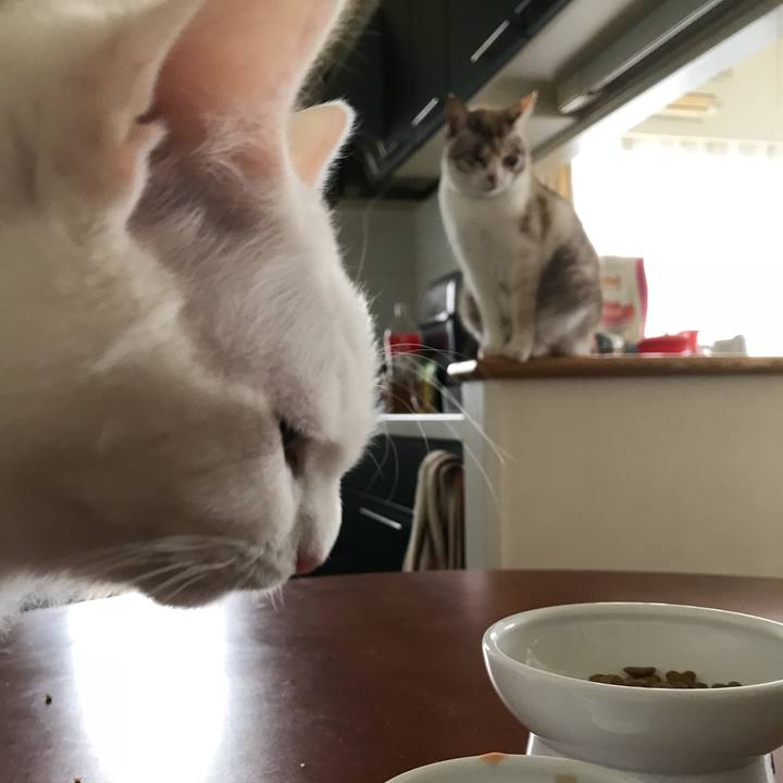 127eae7a b5f8 498b a930 4202aba928c4 1519526161590