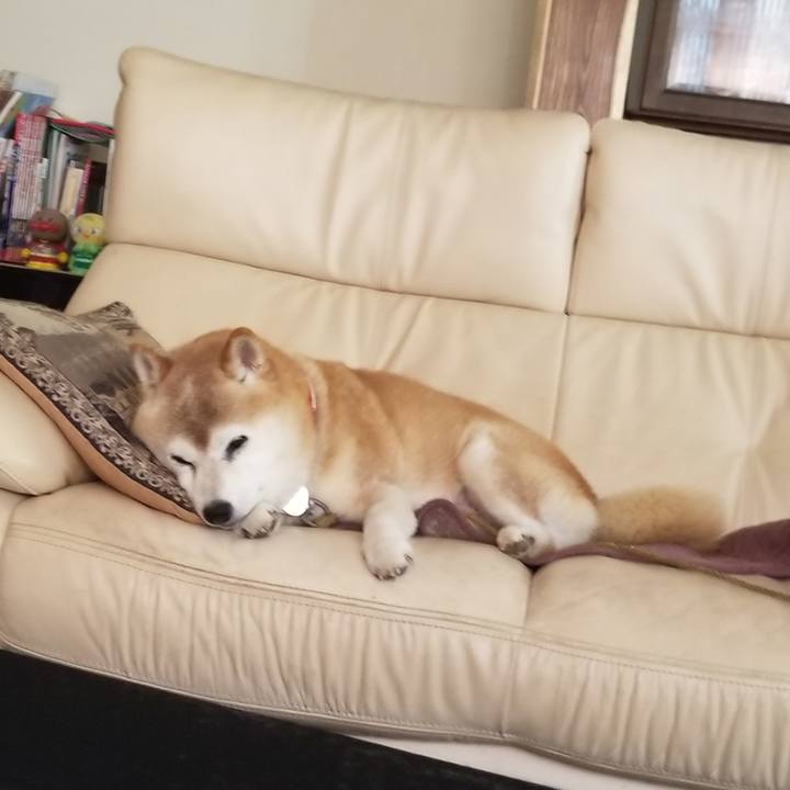 127ed384 de5c 4a7b bedb b99493c2dbeb 1724462576791