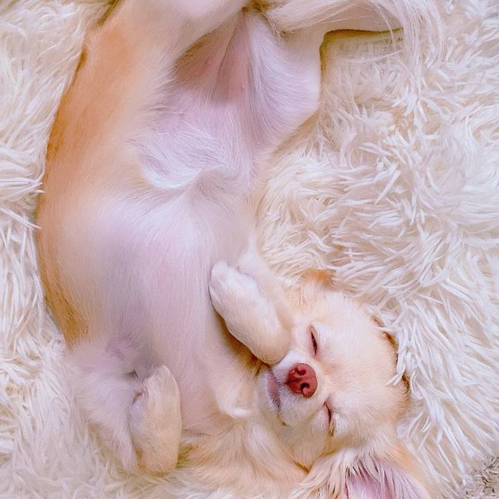 127f0abc 9459 4cd2 a425 2fcb0a75cc53 1625739077117