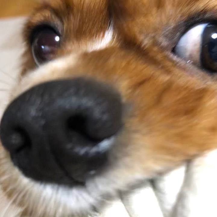 127f2b33 09c9 4d26 8634 cf810456c05b 1572473868610