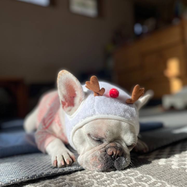 127f3c9b eec8 44db 8014 54c9f1083777 1735081579787