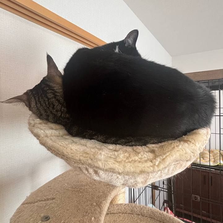 127f4f40 d2c5 4ffe b0f7 4c0f1fce98bf 1766109914248