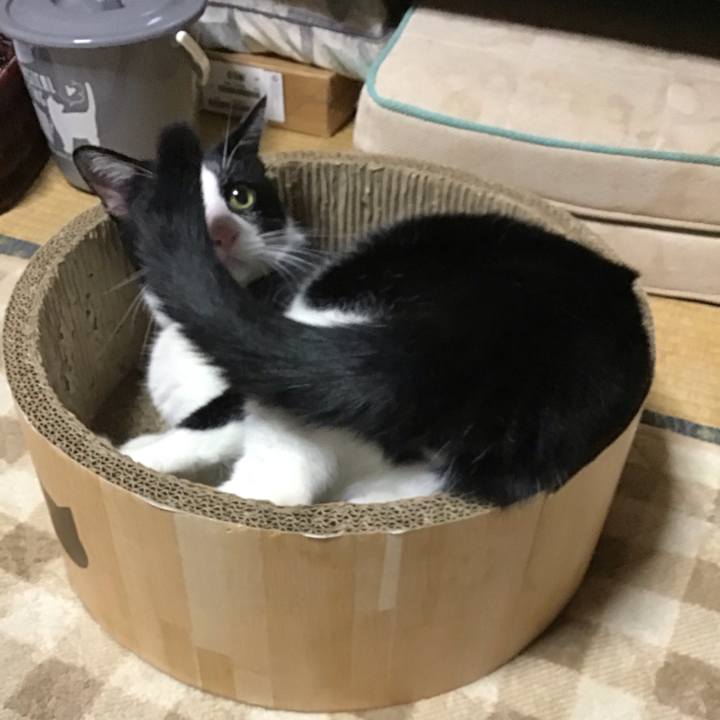 127f7e24 9d2b 484b bf44 e9b5cf251845 1729254366037