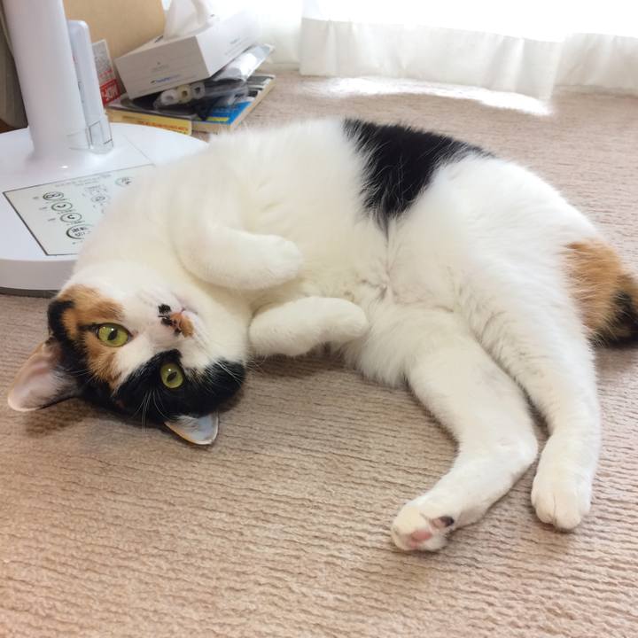 127fc2fd 3315 4442 940e 6ef11f6730a1 1571549596727