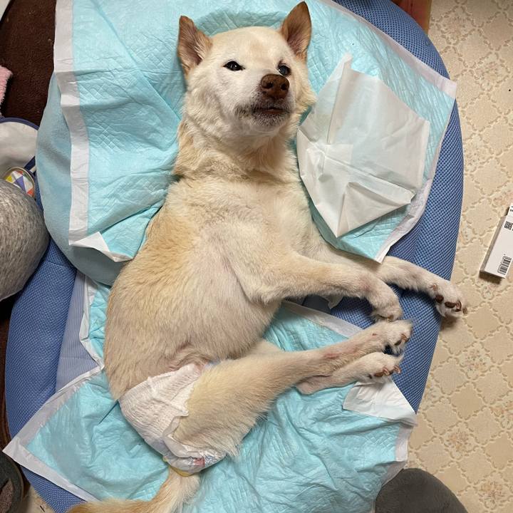 127fe4a7 e4b4 47f6 bc3c bd55b2d91e23 1678269267529