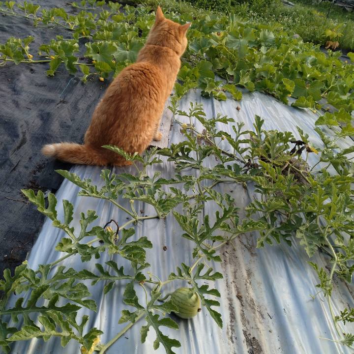 127ff387 7506 49ac 9a98 23d596c36394 1688512258529