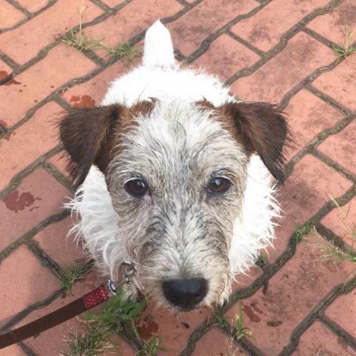 127ff76c 7885 4b77 87f8 2b03a0720d2d 1530803364557