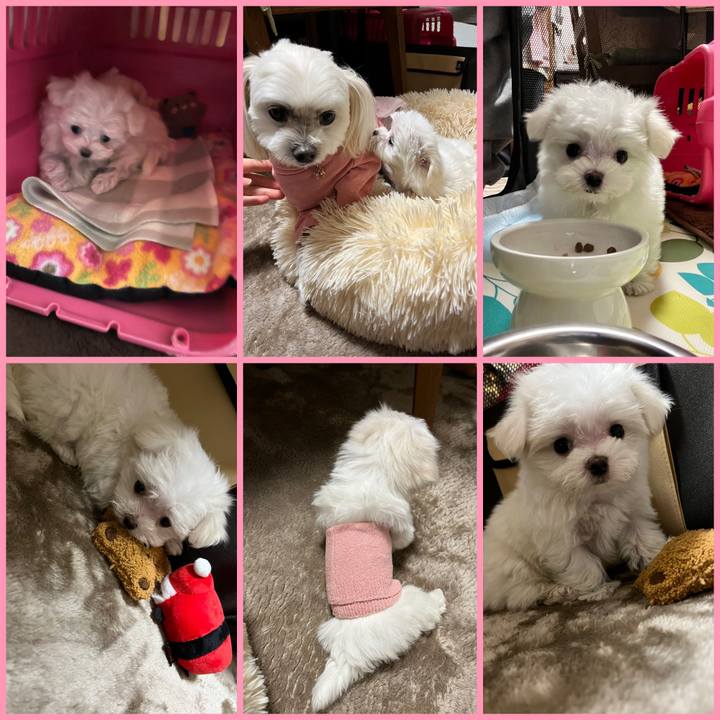 12800a93 18da 4e81 b051 3020d87e404e 1700301132975