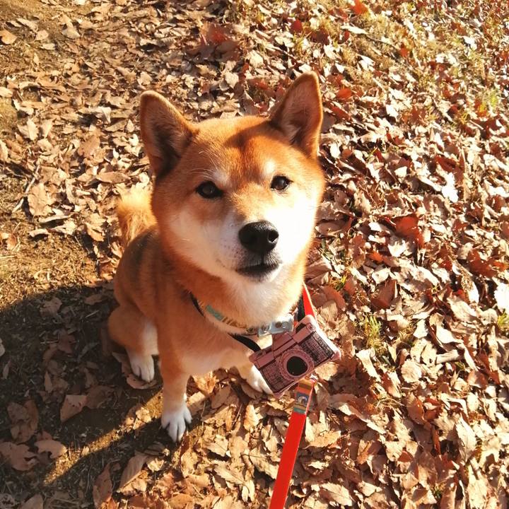 12800c8e 4b18 4b35 8896 8ce278307f02 1610952797929