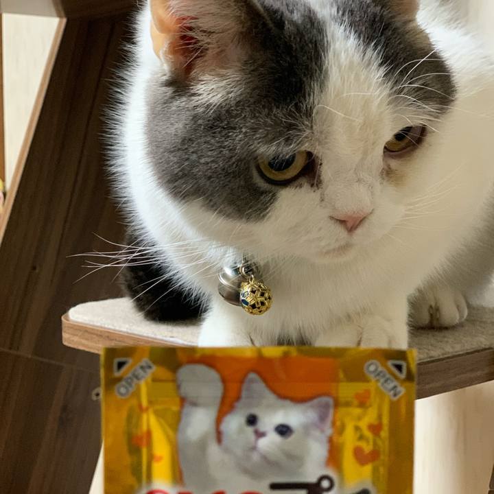 1280170f e304 4628 ba47 a08698b8c7e5 1648329165544