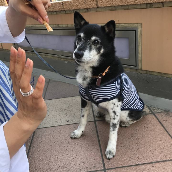 128018d7 2f57 49f5 9c94 76a6a0298ea8 1527494837274