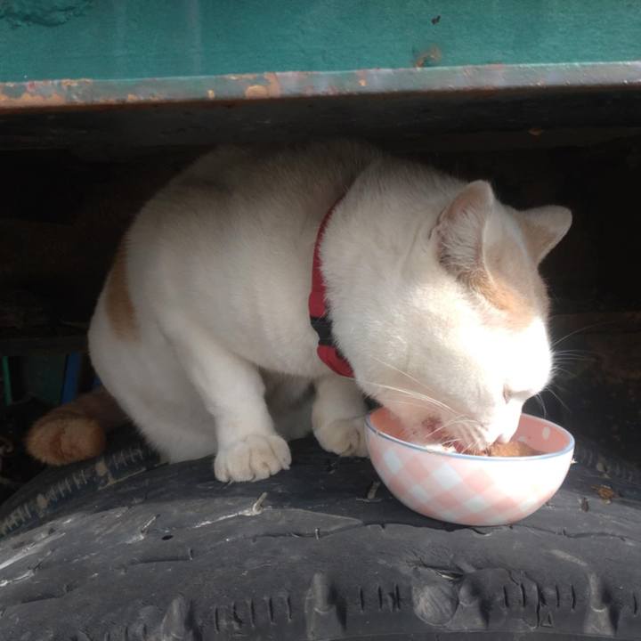 12802335 981b 4ce9 81fd 32b892151c45 1729037544623