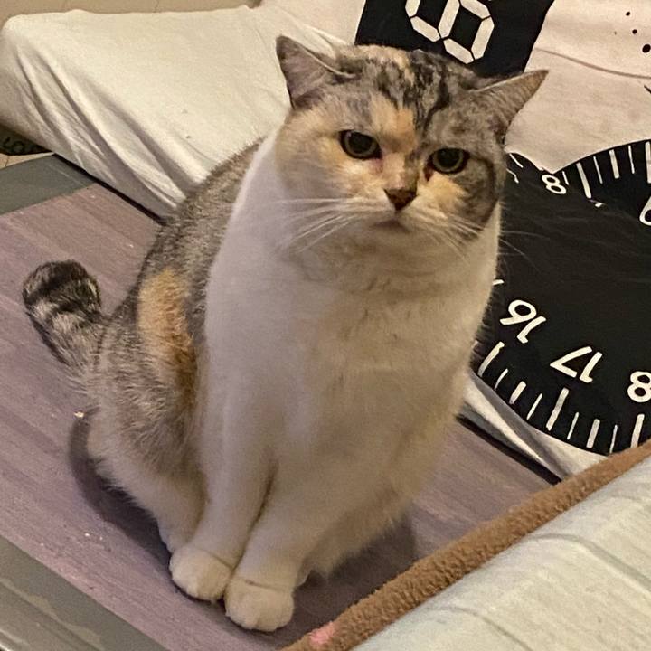 128034af 559a 496e 847b 65387adfbefa 1676320119985