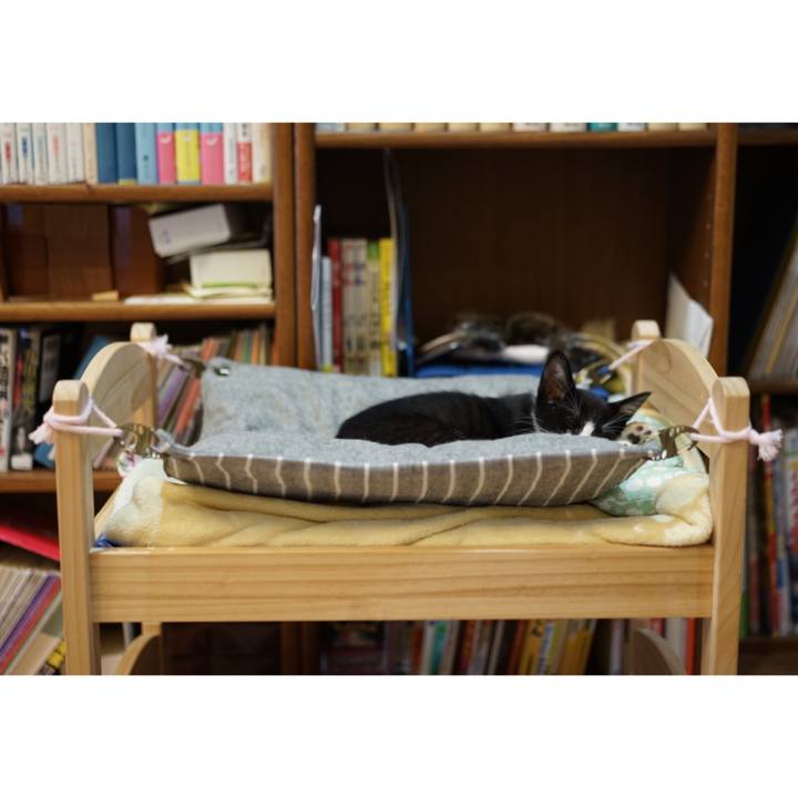 128045f7 965a 42fb 9511 32fdbe8b321f 1568557552241