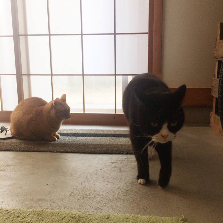 12806298 70da 4651 a5f8 ed698403892b 1519950440234