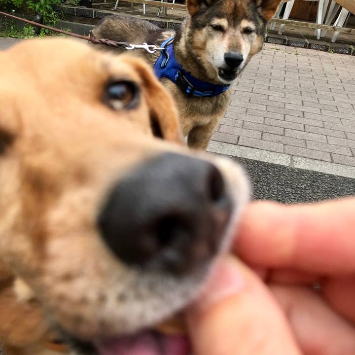 128064c9 f004 4f4c a341 3d3ed110baab 1526520748573