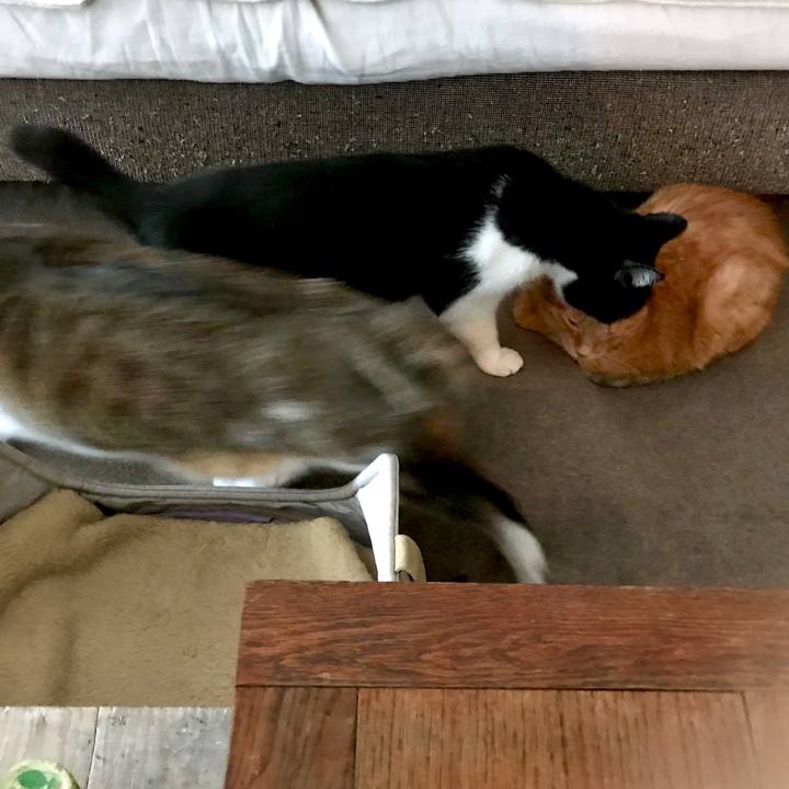 1280f862 02c9 4b28 8aa5 65b9dd5c3713 1547777813158