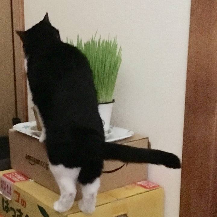 1281018b d037 4a7d 85b7 3849910dcde2 1532144526516