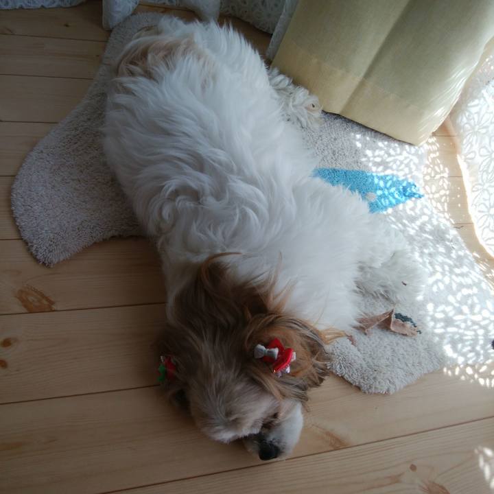 128130c2 4f7c 4598 ab86 6516b5fa49ee 1524714785879