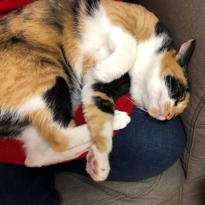 12814c02 130f 408a 8d1a dcc810297460 1571316625984