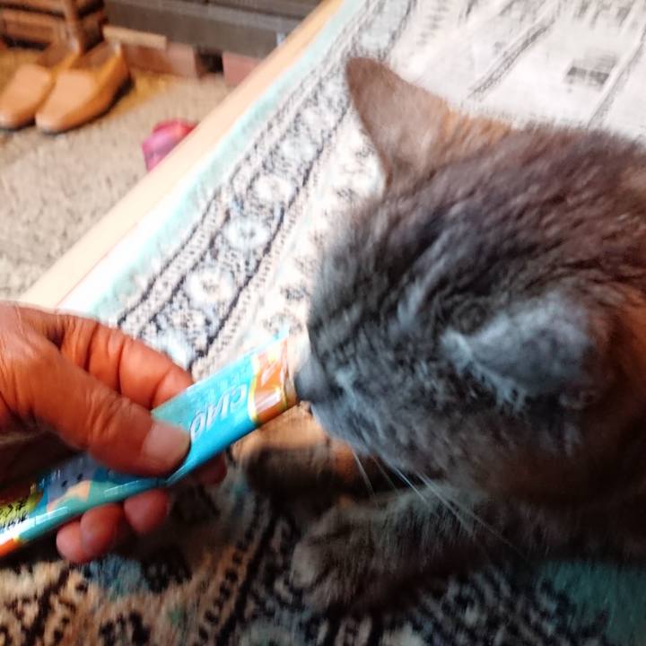 1281553c 0548 4165 81e9 d45614d5706d 1598733998909