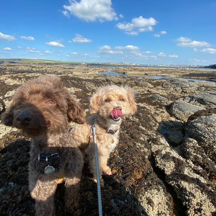 12816ec3 1f6c 4c90 a289 47b2ccf243a8 1629823855406