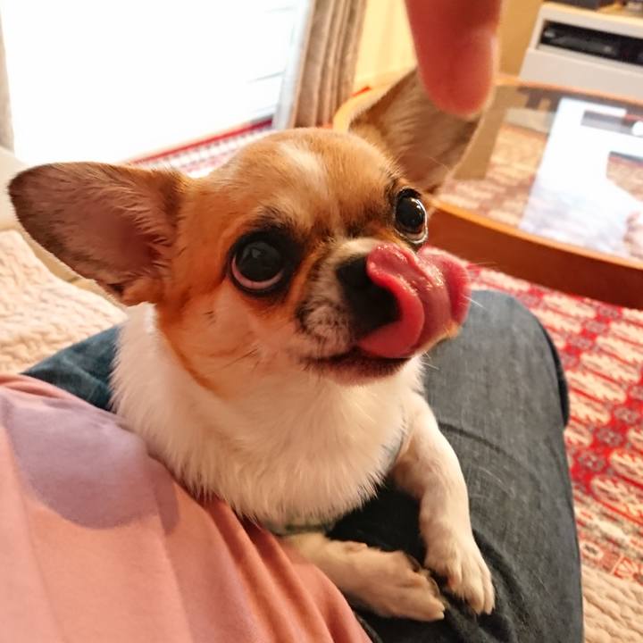 128178c0 632e 4dd0 928a 600582bedae2 1593218150620