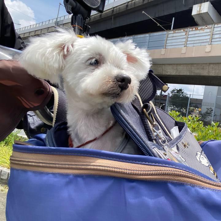 1281dd51 ba38 47ad 980a 663b66a494a9 1750576221513