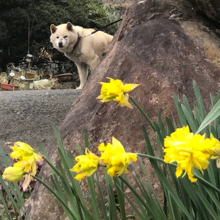 12822310 2f9b 4e84 92cc 9a10d89c8fad 1585708986085