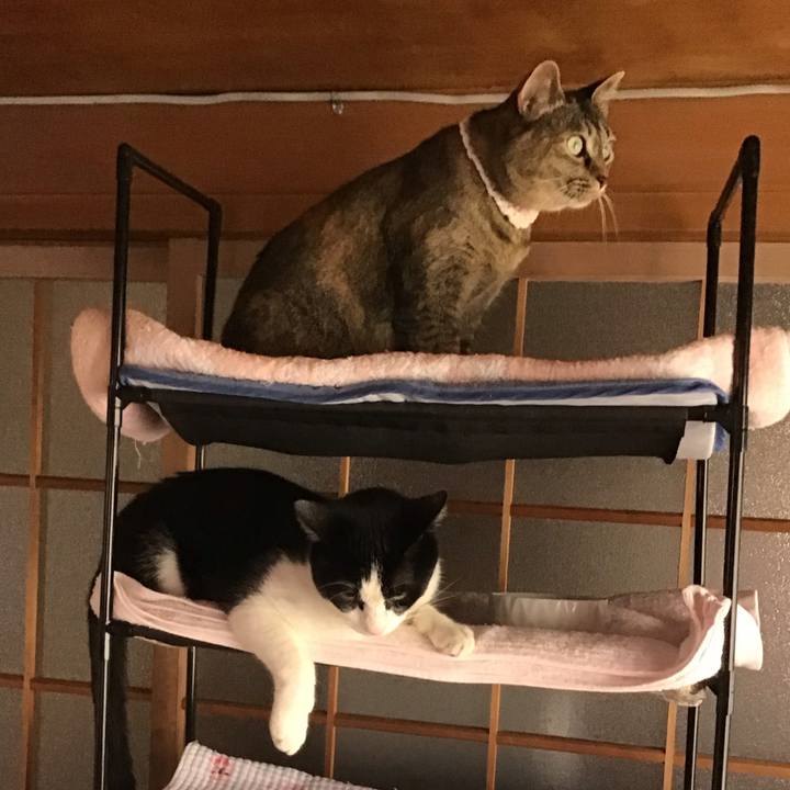 128266b9 b628 4083 8394 0ee19f83e5c1 1688129409330