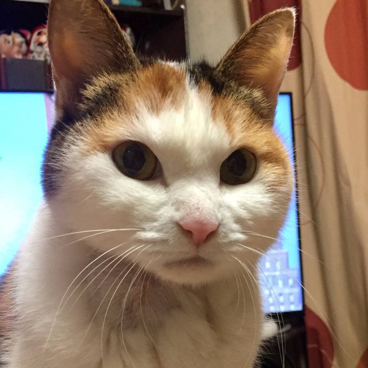 1282c519 32d6 45f0 b7bb cfa868167645 1578457125829