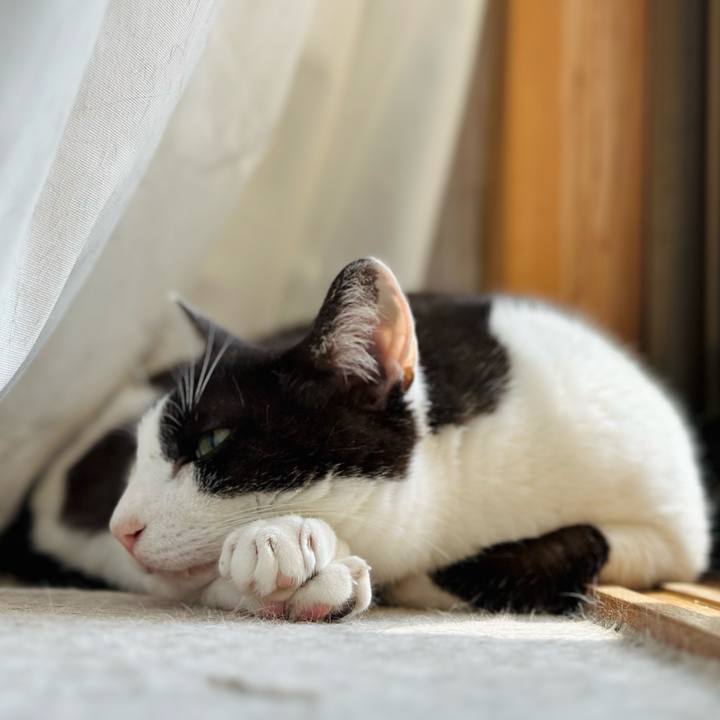 1282ffd5 9b90 45f7 8f8c 2b1adb48346d 1688609525512