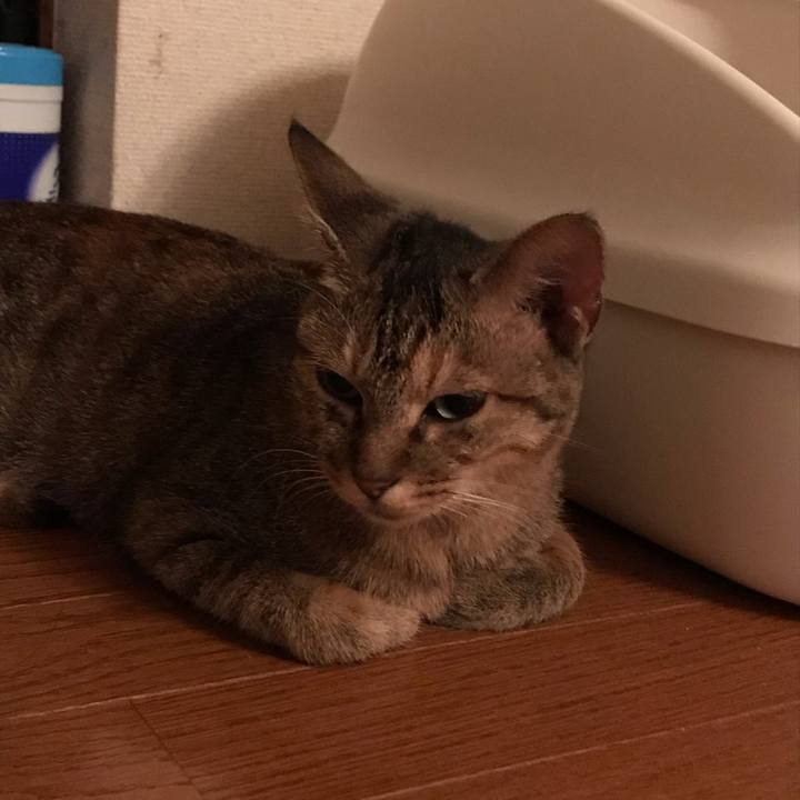 12830584 e47e 4ee5 b03b 8b28d023052d 1570803708662