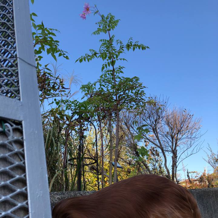 12832a9c 5fd6 4dd1 88d3 0895697dd940 1574001679882