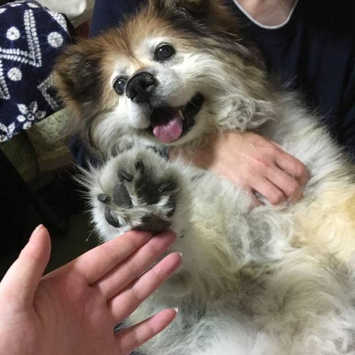 12834fd9 2f56 4bfd 9969 e73ac2d565c5 1563955526531